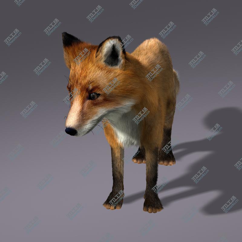 images/goods_img/2021040234/Fox (RIGGED) (FUR)/5.jpg